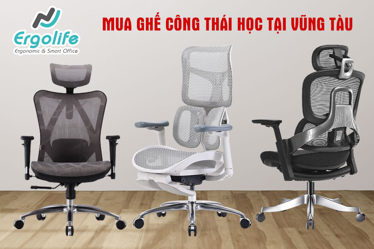 Địa điểm mua ghế công thái học Vũng Tàu, lý do nên mua ghế công thái học